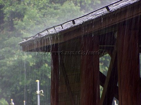 20060715135056.jpg