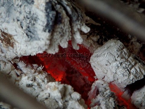 20060715142450.jpg