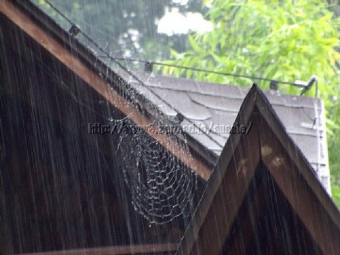 20060715143526.jpg