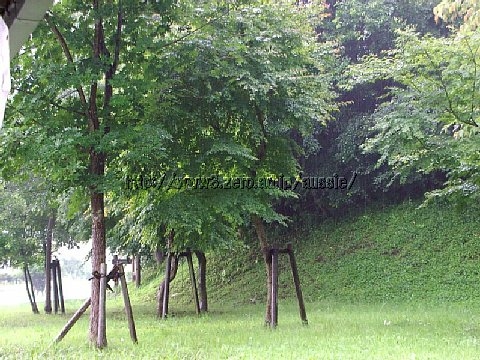 20060715145402.jpg