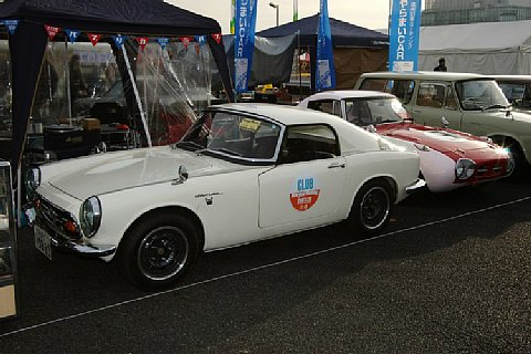 IMGP3235.jpg
