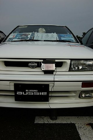 IMGP3253.jpg