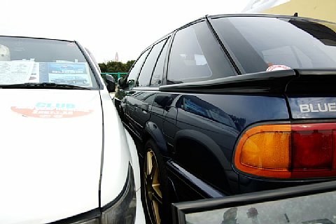 IMGP3256.jpg