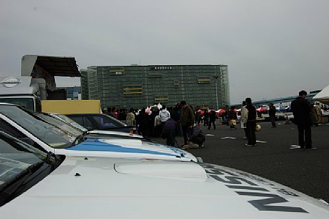 IMGP3259.jpg